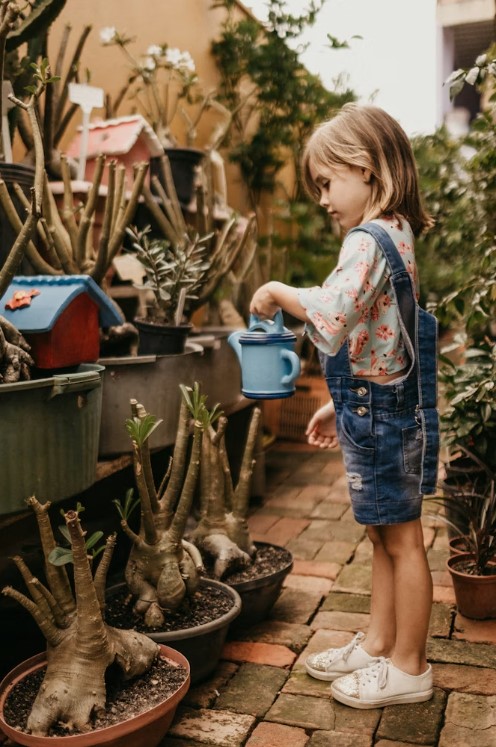 watering plants